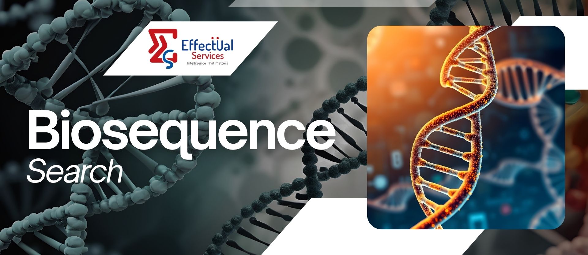 Bio-Sequence Search Services | DNA, RNA & Protein Analysis