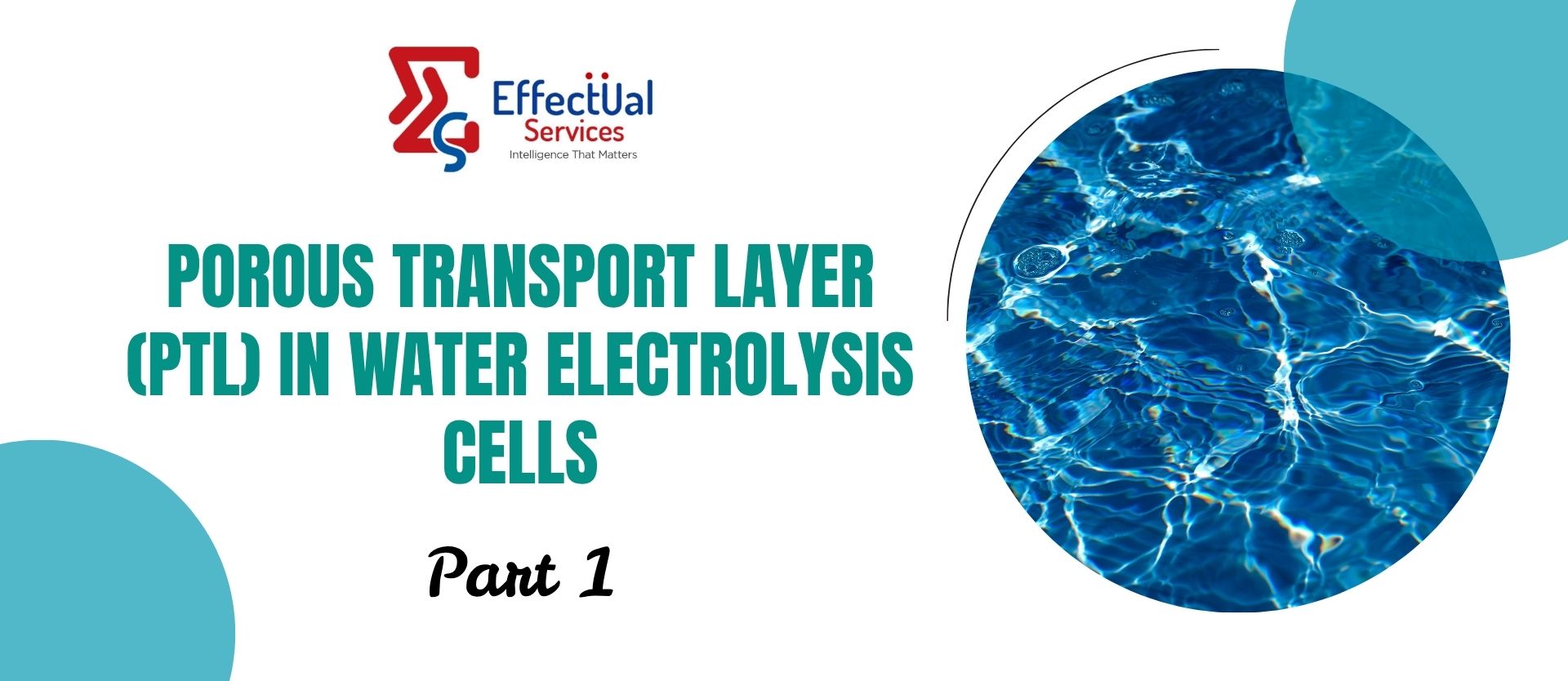 Porous Transport Layer (PTL) in Water Electrolysis Cells