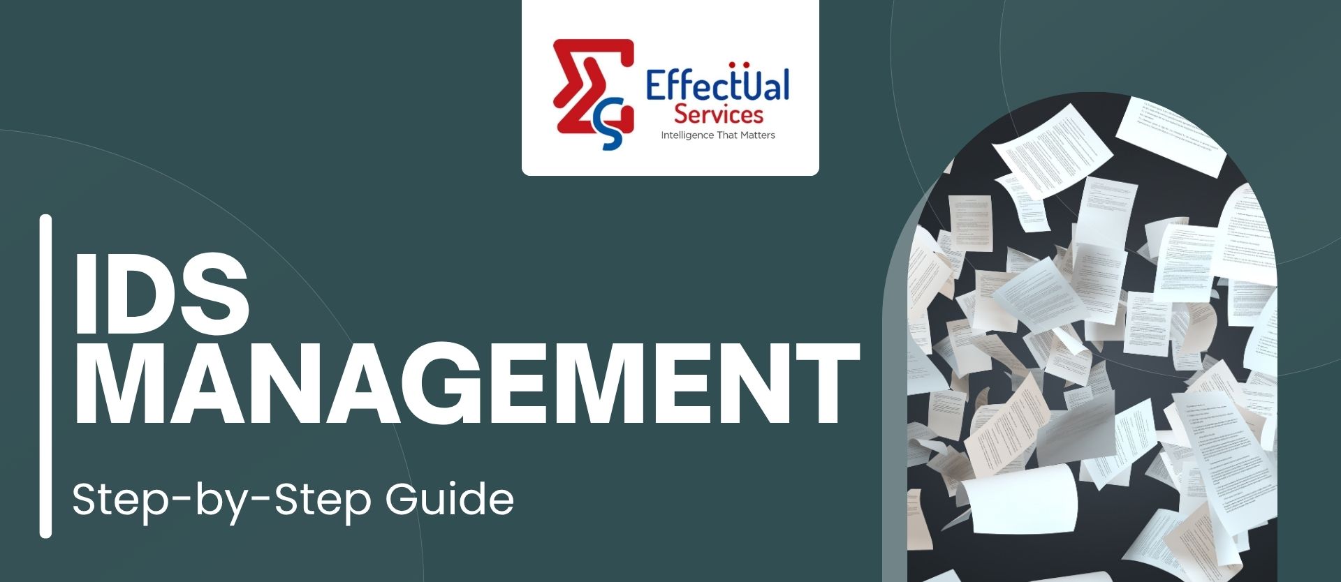 What is IDS Management? Step-by-Step Guide