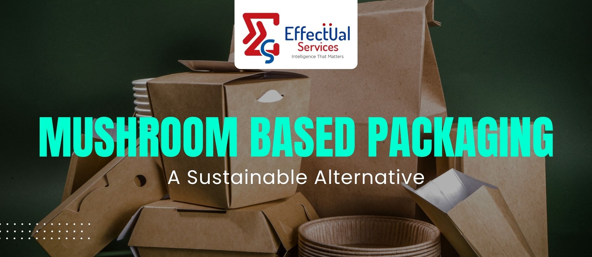 Mushroom-Based Packaging: A Sustainable Alternative