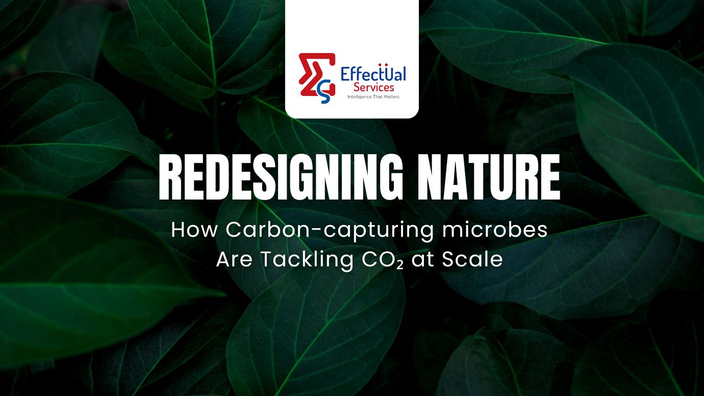 Redesigning Nature: How Carbon-Capturing Microbes are Tackling CO₂ at Scale