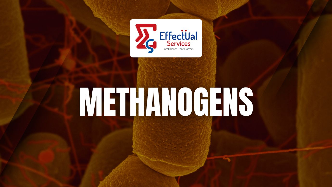 Methanogens and Their Role in Carbon Recycling