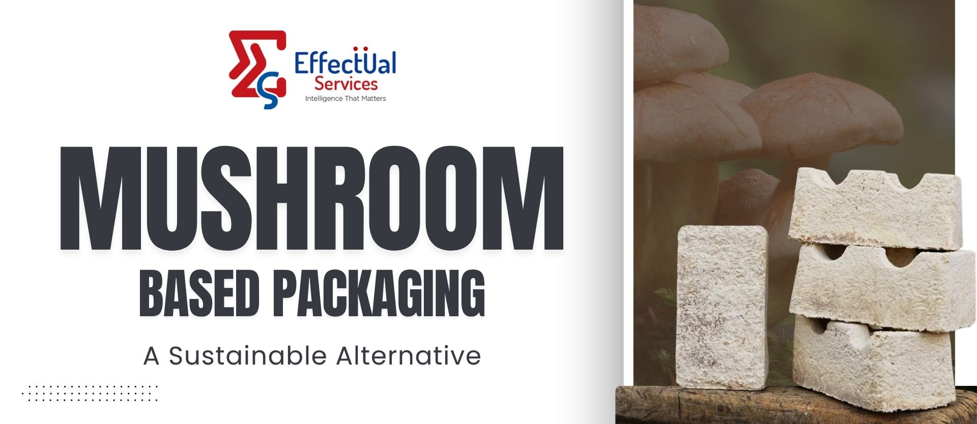 Mushroom-Based Packaging: A Sustainable Alternative