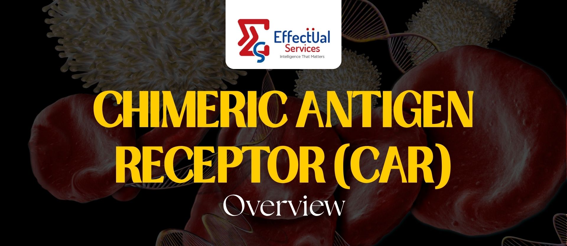 Chimeric Antigen Receptor (CAR) Overview