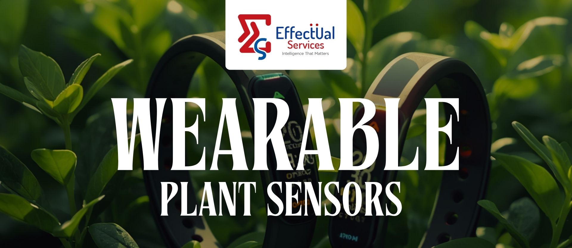 Wearable Plant Sensors