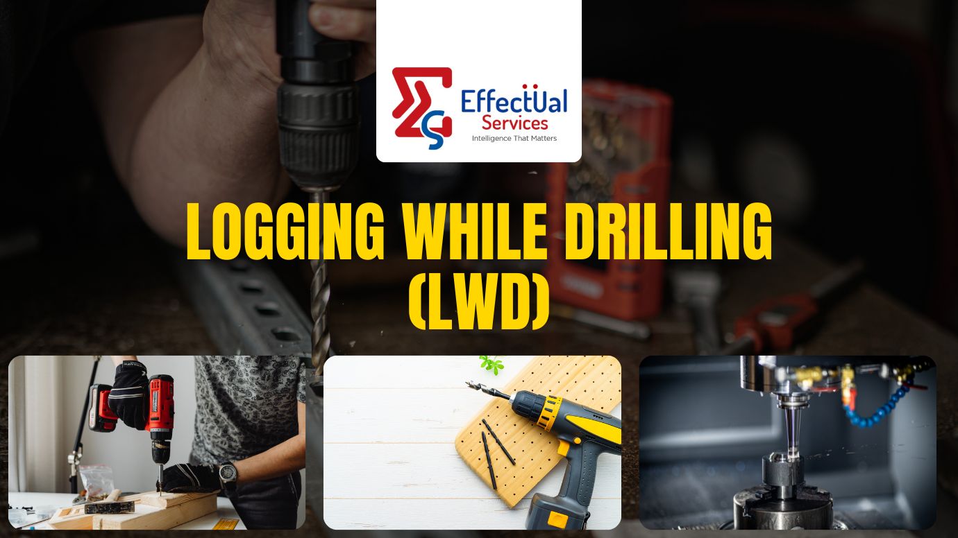 Logging While Drilling (LWD)