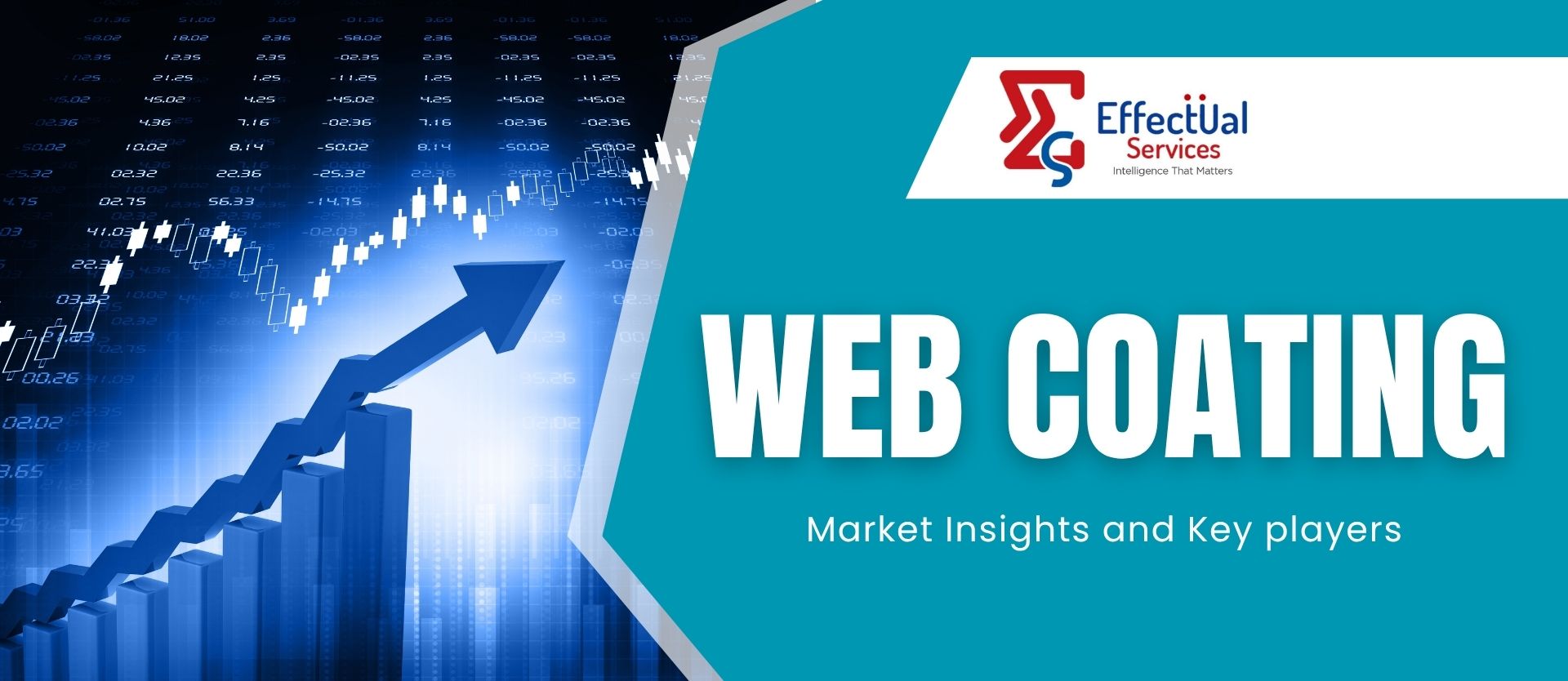 Web Coating_Overview