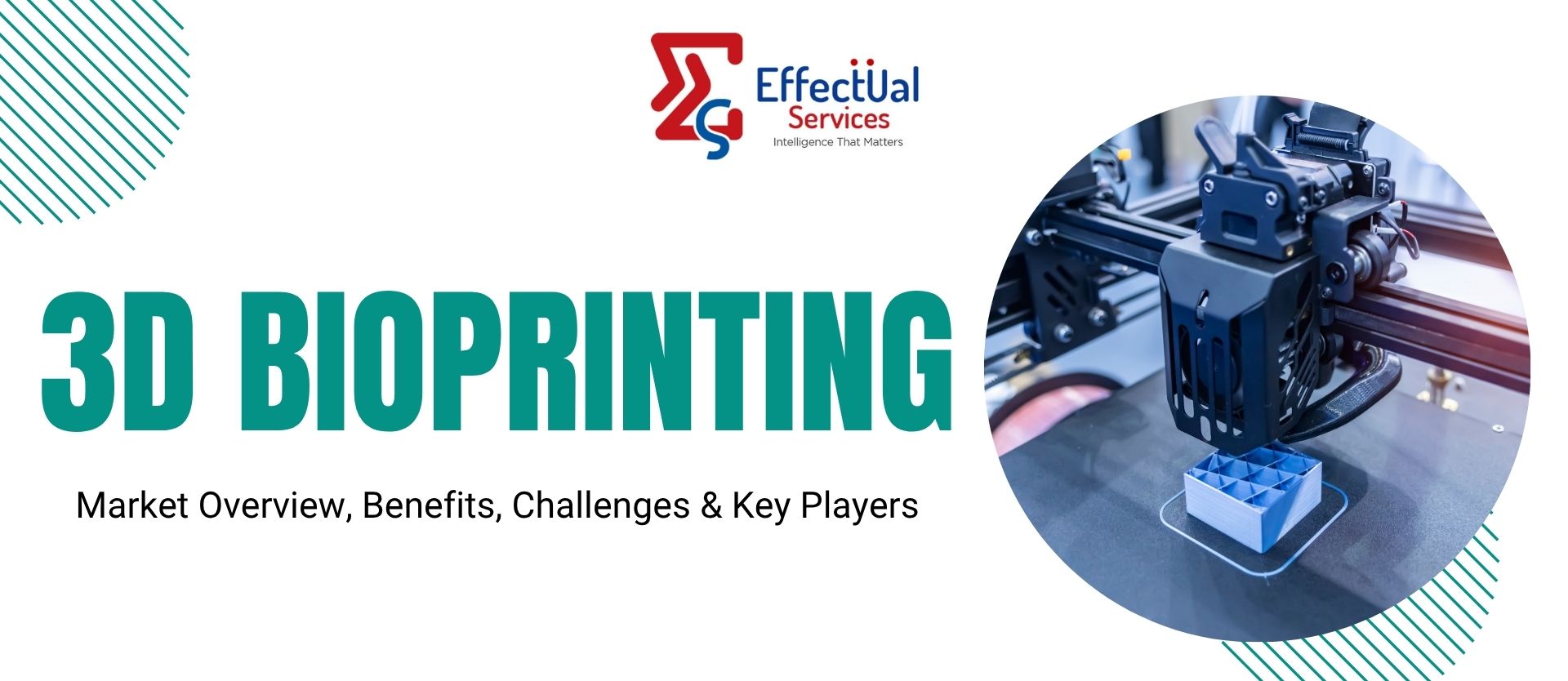 3D Bioprinting