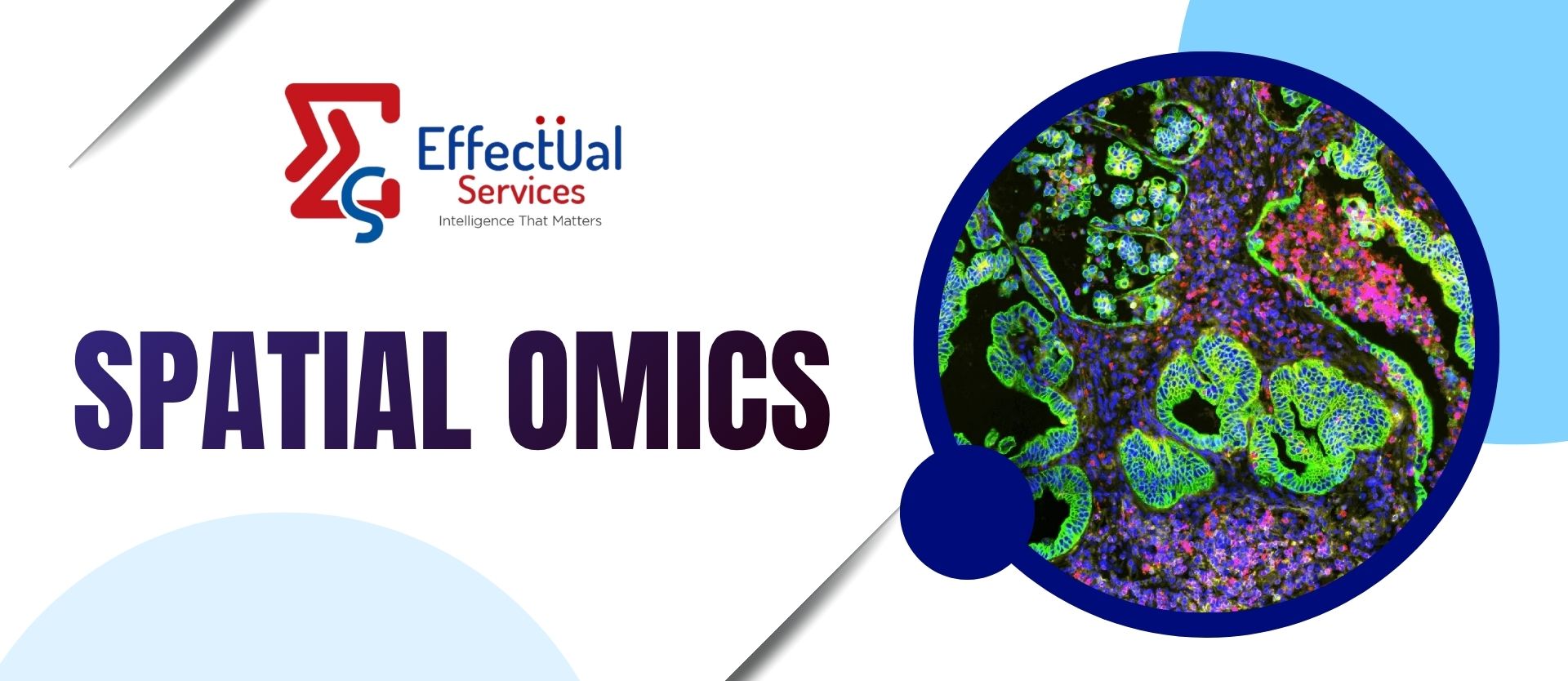 Spatial Omics