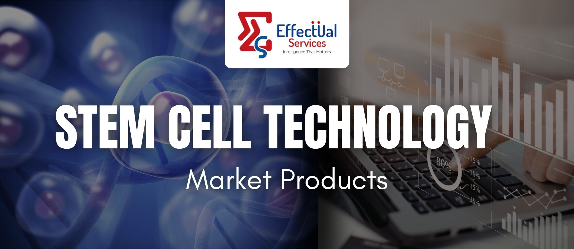 Stem Cell Technology: Market Products