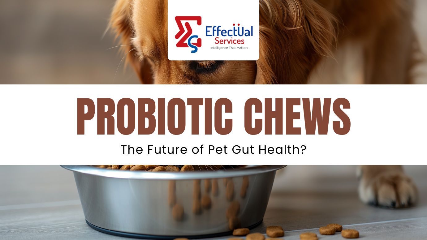 Probiotic Chews: The Future of Pet Gut Health?