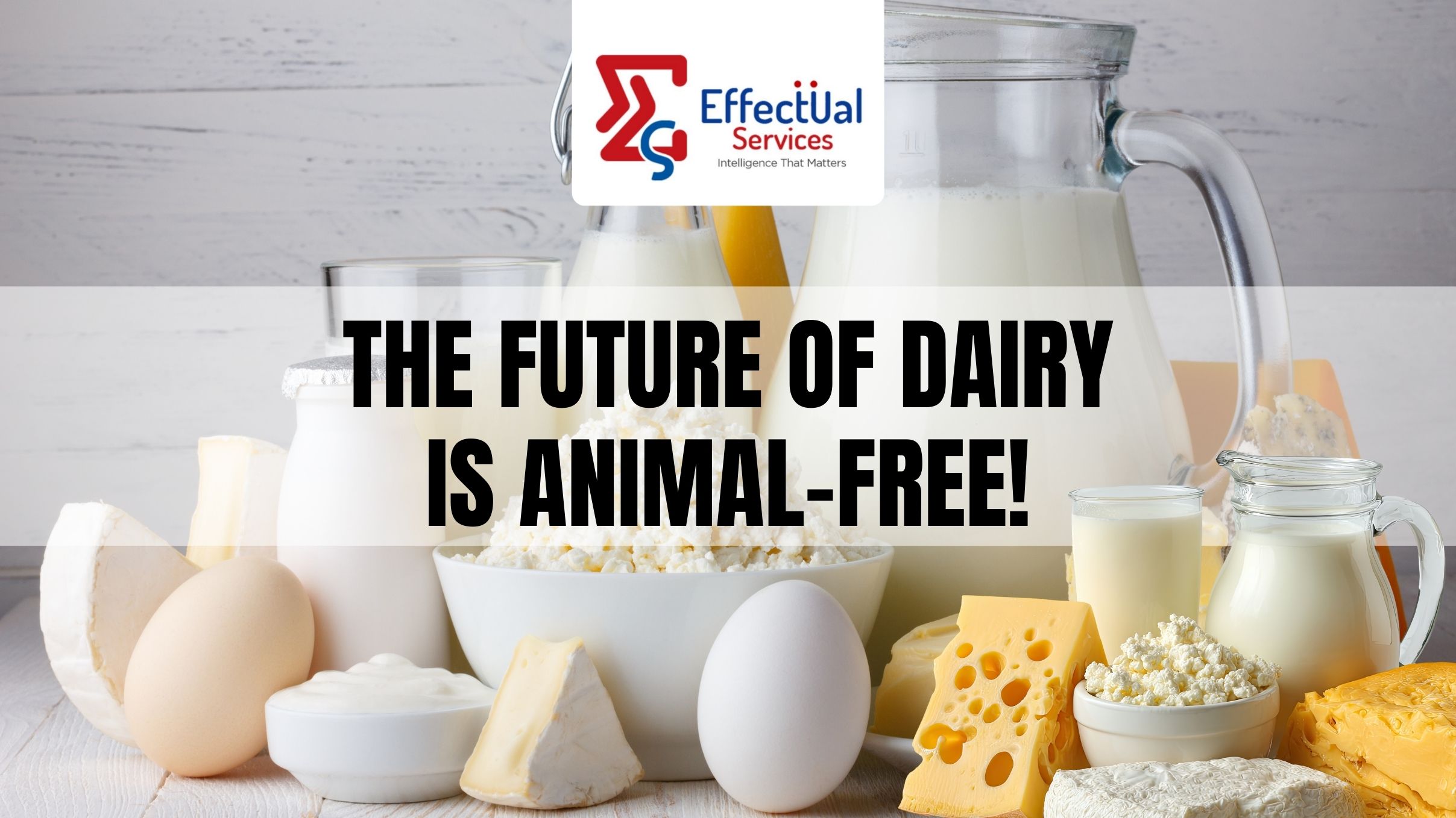 The Future of Dairy is Animal-Free!
