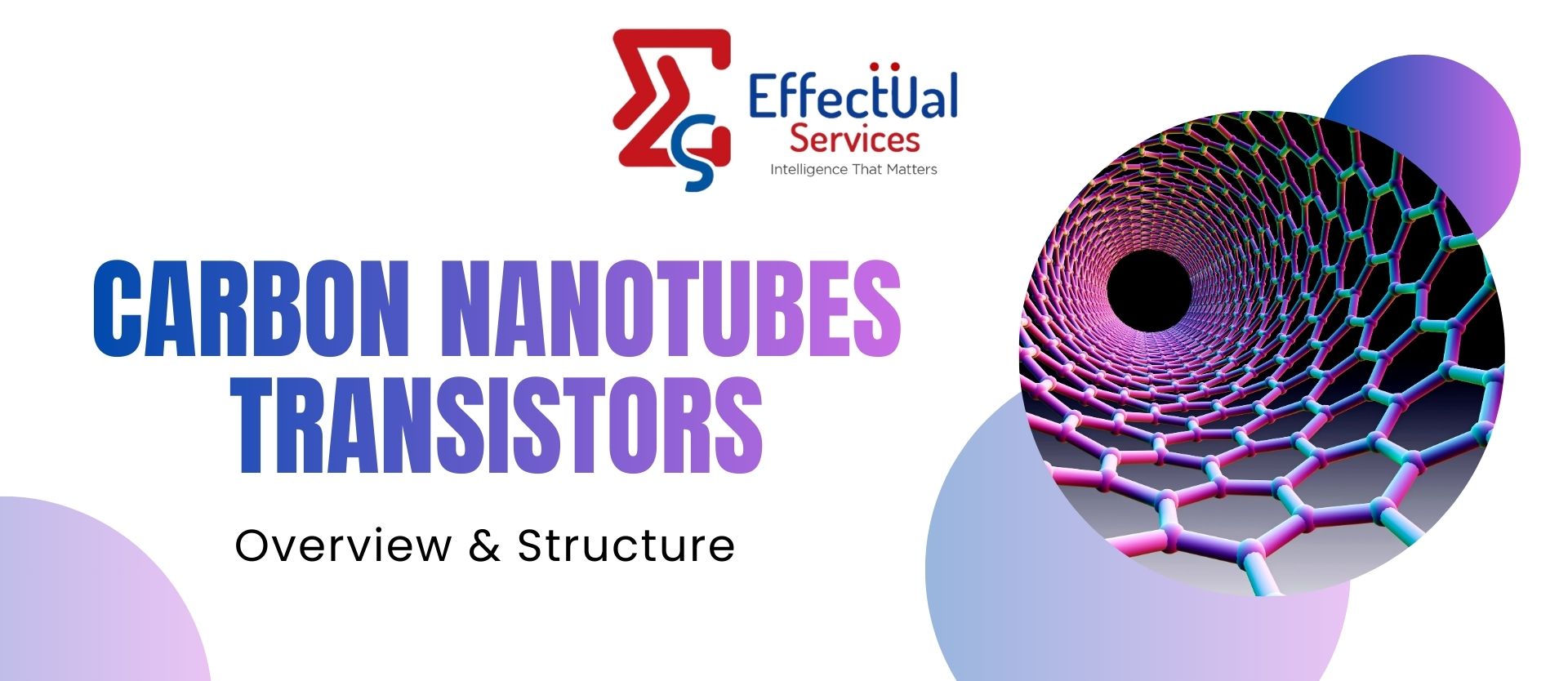 Carbon Nanotube Transistors - Overview and Structure