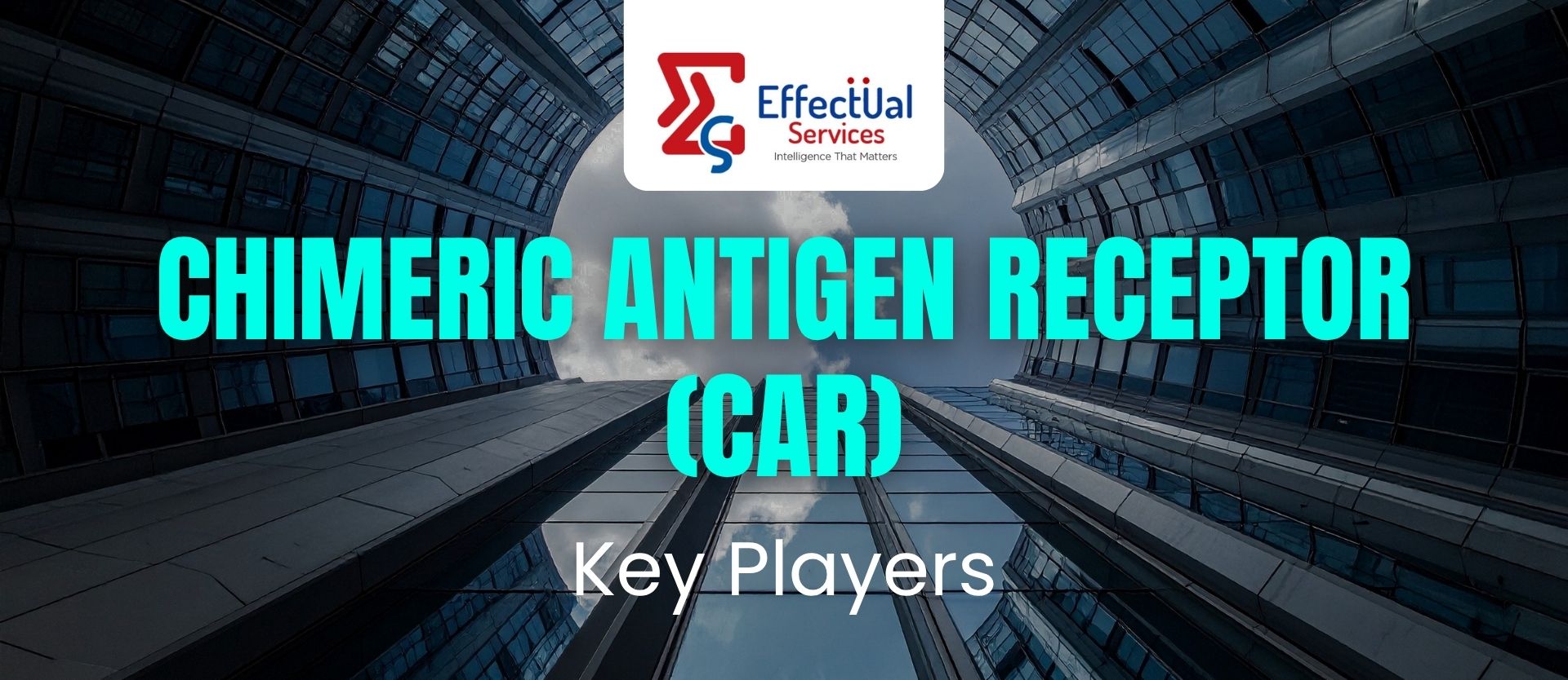 Chimeric Antigen Receptor (CAR) Key Players