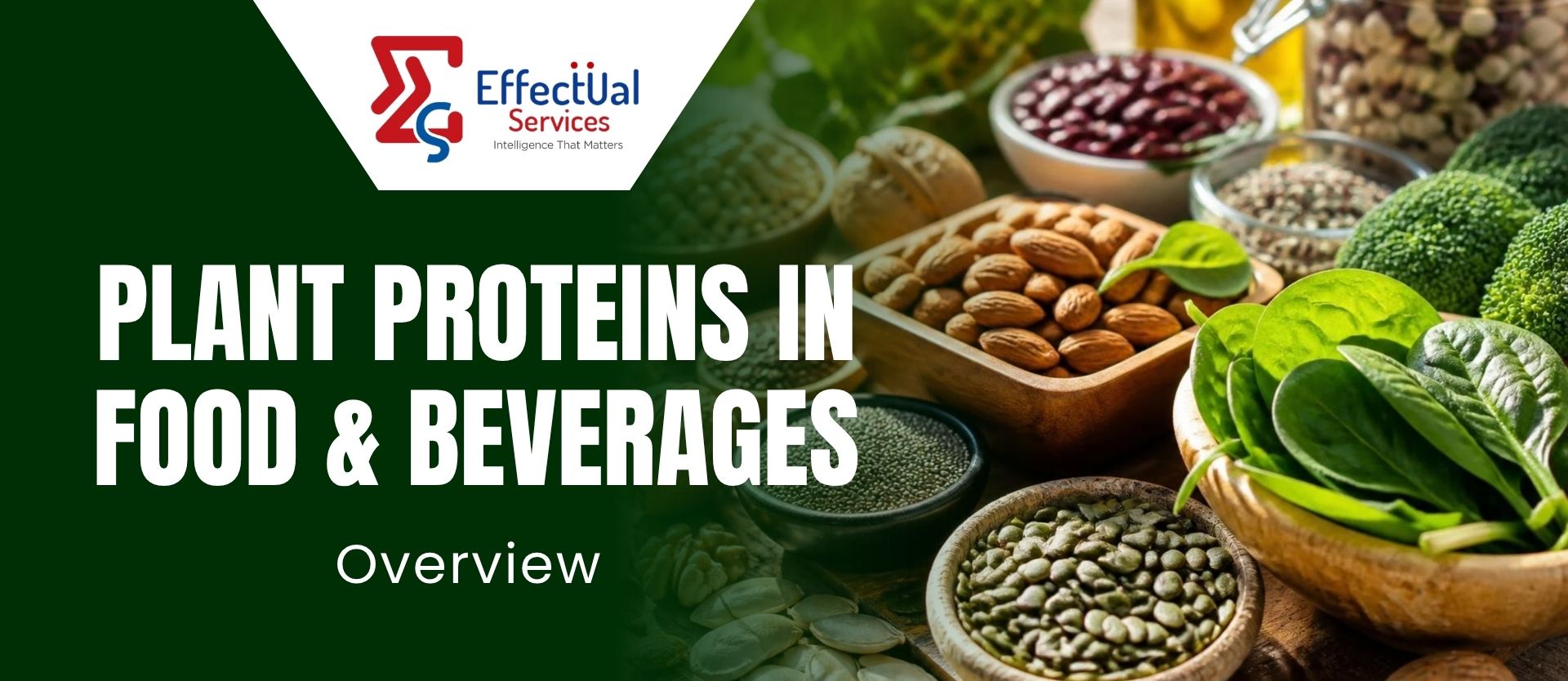 Plant Proteins in Food-Beverages