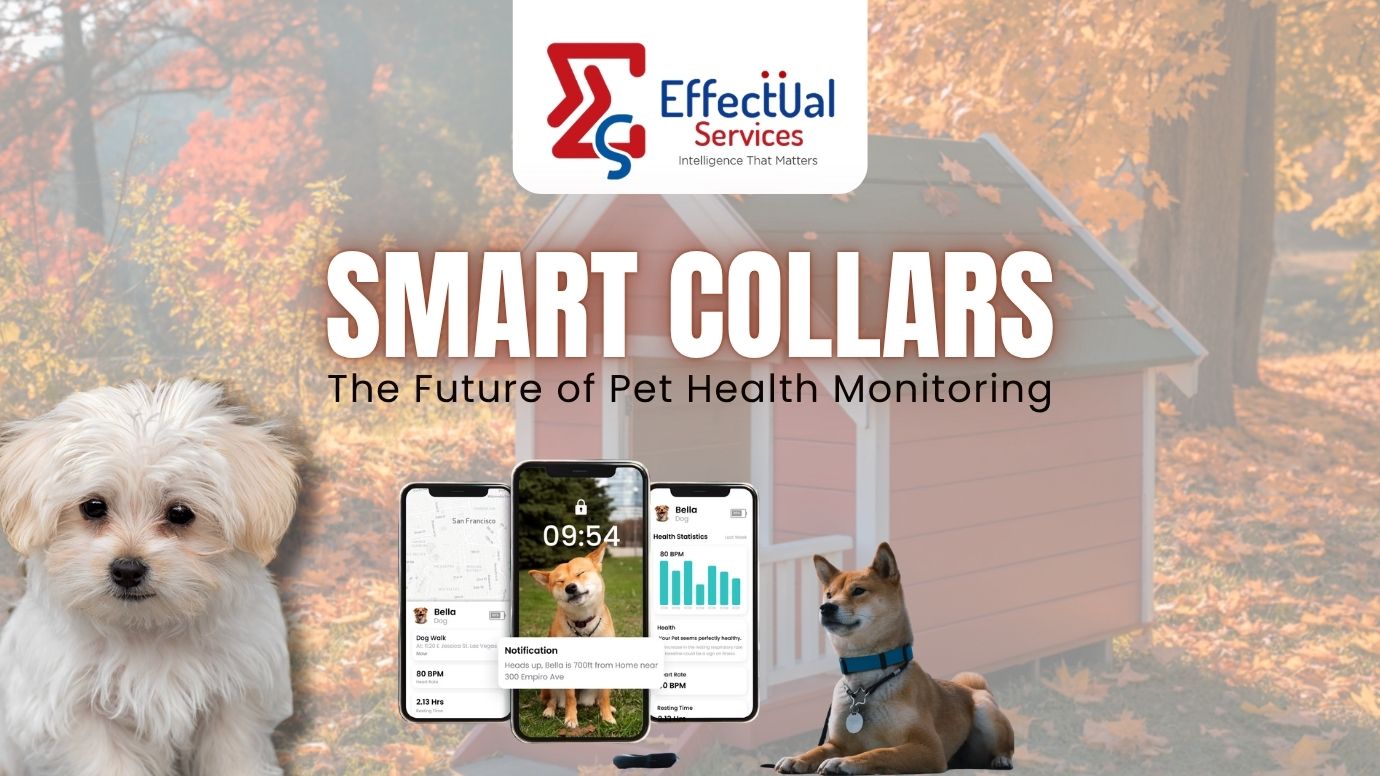 Smart Collars: The Future of Pet Health Monitoring