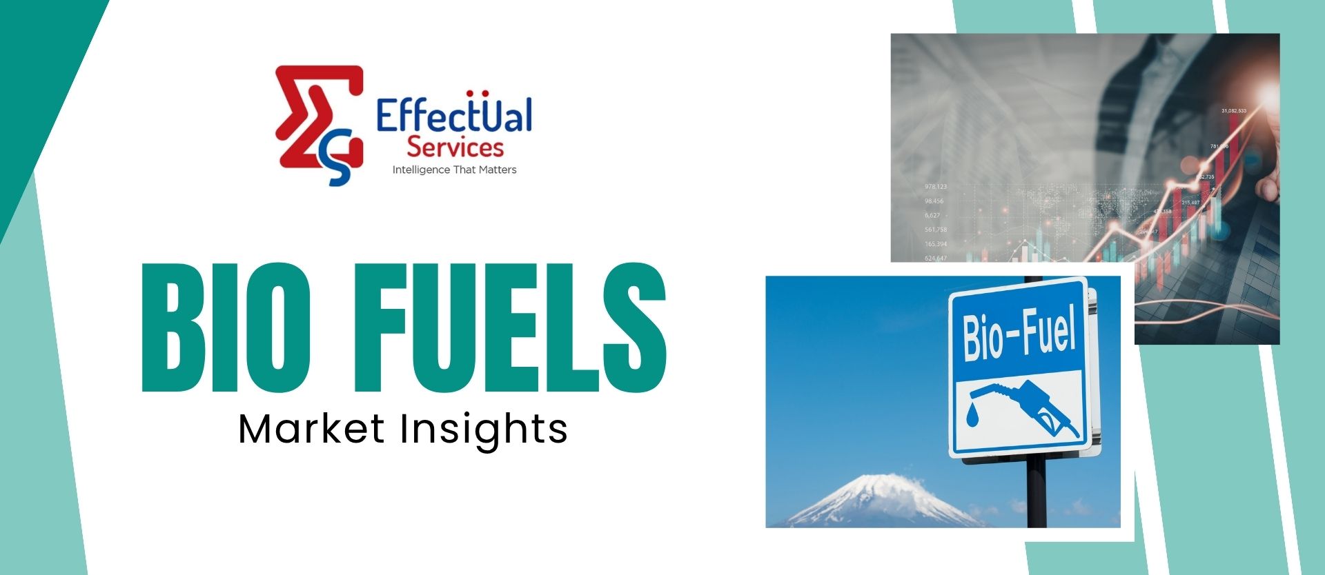 Bio-fuels Market Insights