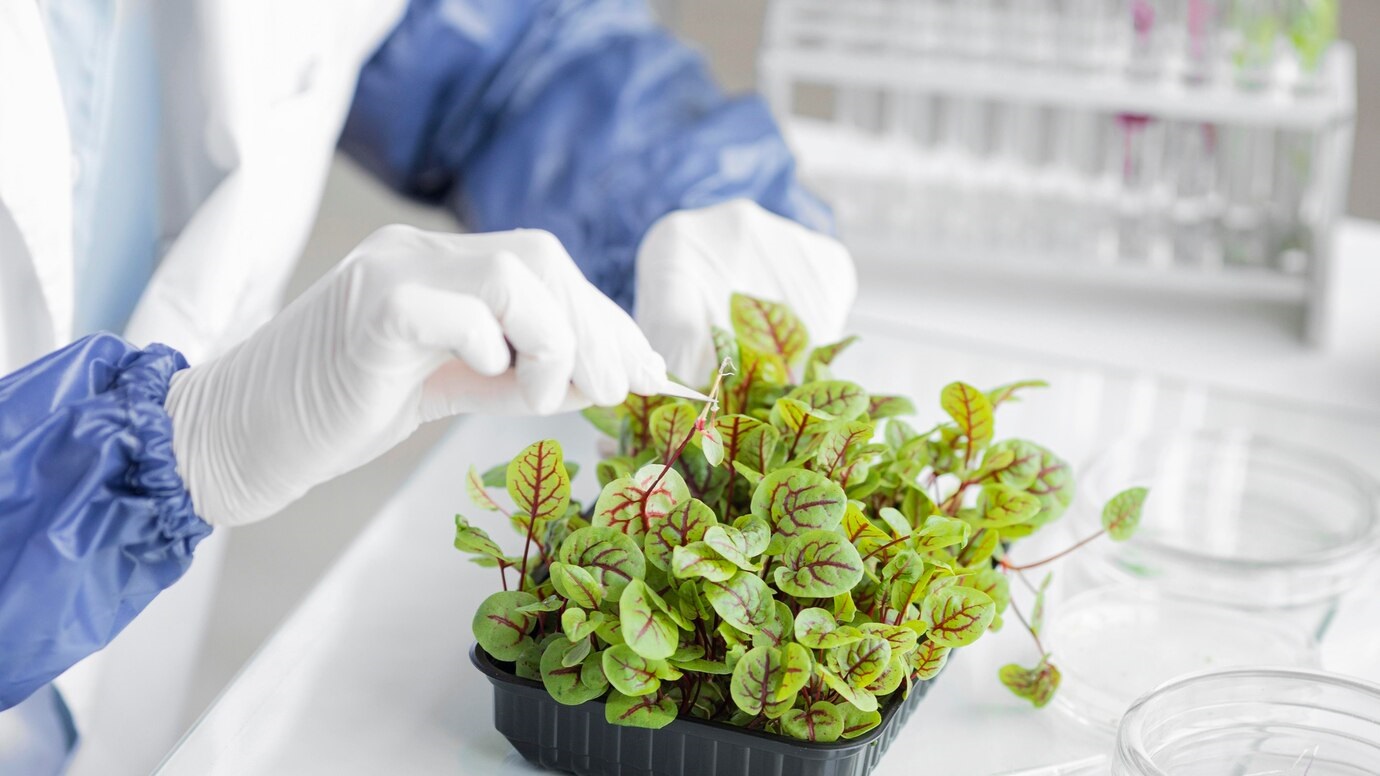 Biological Solutions For Plant Growth